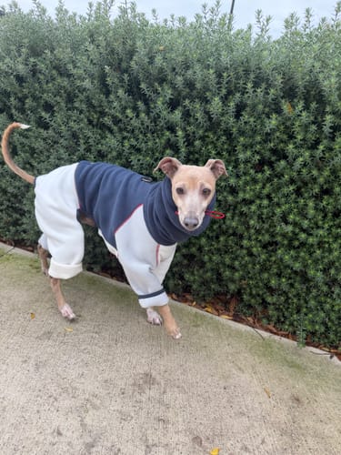 Customer photo review of Polaris Tech-Fleece Jumpsuit