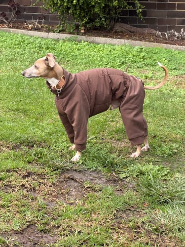 Customer photo review of Luxe Quilted Fleece Jumpsuit