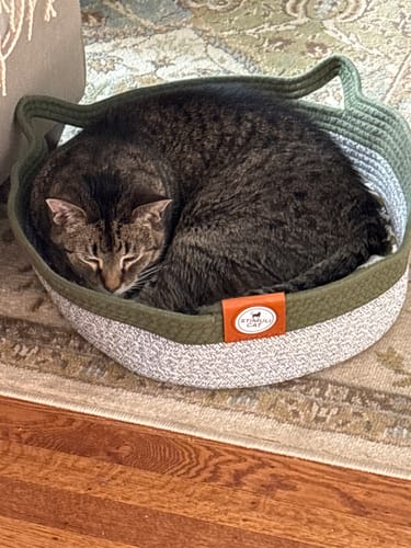 Customer photo review of Instinct Basket | Meet the first research-backed natural territory for indoor cats