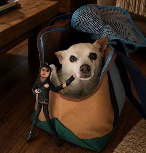 Customer photo review of Urban Palette Travel Tote