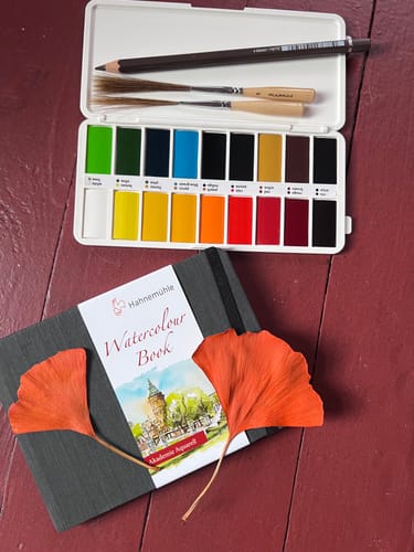 Customer photo review of SketchBox Signature Opaque Watercolor 18 colors