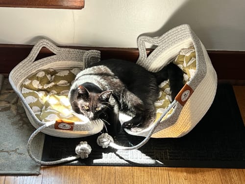 Customer photo review of Instinct Basket | Meet the first research-backed natural territory for indoor cats