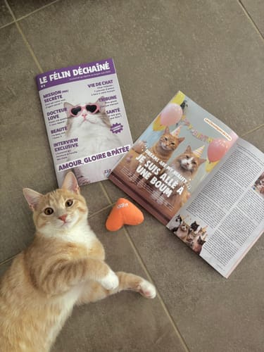 Un client montre son chat roux et blanc couché à côté de deux magazines Le Félin Déchaîné sur un sol carrelé.