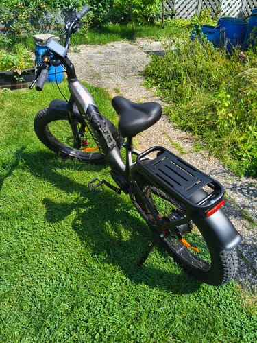 Customer's Lankeleisi MG600 Plus e-bike from the rear, showing the fat tire and luggage rack on a lawn.
