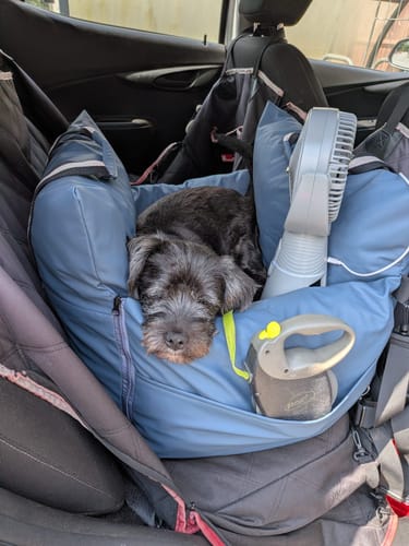 Customer's small black dog sleeping soundly in the comfy, blue Dog Dock V2 inside a car.