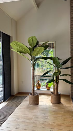 Customer photo review of Kunst Bananenplant 210cm