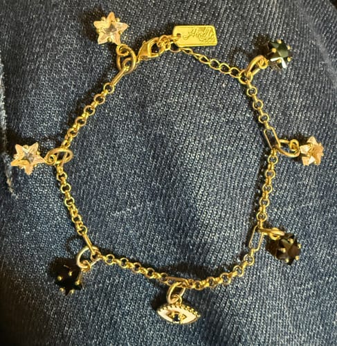 Customer photo review of 7 CHARM Bracelet Bundle-Pick Your Charms TT LIVE (Bracelet or Clips)