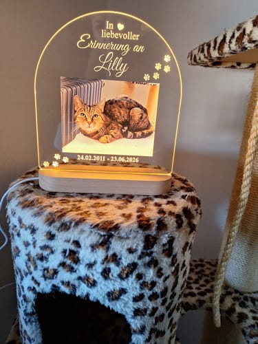 Customer photo review of Zur liebevollen Erinnerung – LED-Lampe für Hund/Katze