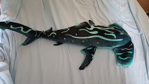 Customer photo review of Large Blue Hammerhead Shark Soft Stuffed Plush Toy
