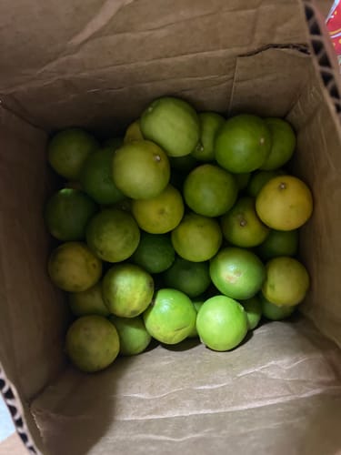 Customer photo review of Organic Key Limes 3 lbs