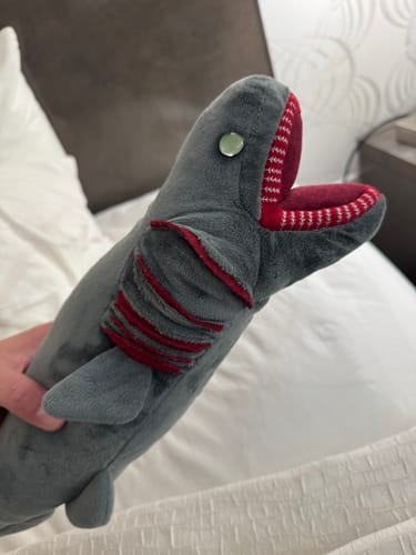Customer photo review of Frilled Shark Soft Stuffed Plush Toy
