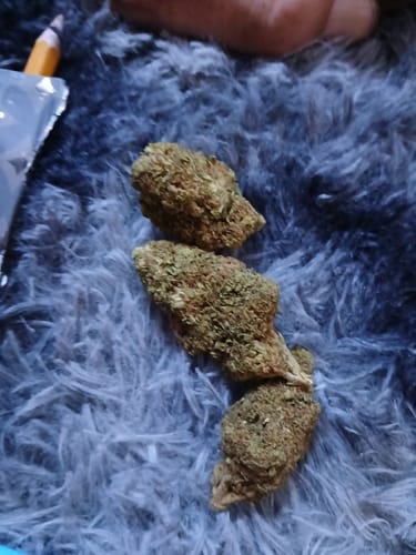Customer photo review of Cheap THCA Flower Ounce