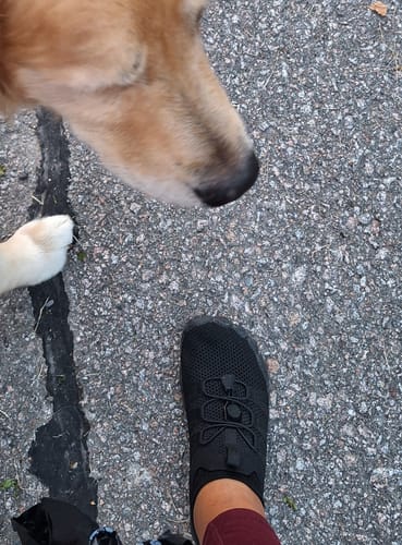 Arvostelijan jalassa musta Vapauta Varpaat™ -paljasjalkakenkä ulkona asfaltilla koiran kanssa.