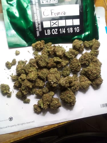 Customer photo review of Cheap THCA Flower Ounce