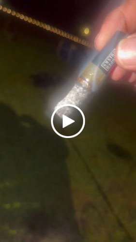 Customer video review of Toad Crossing THCA Flower