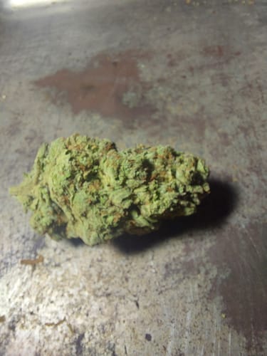 Customer photo review of Gorilla Glue THCA Flower