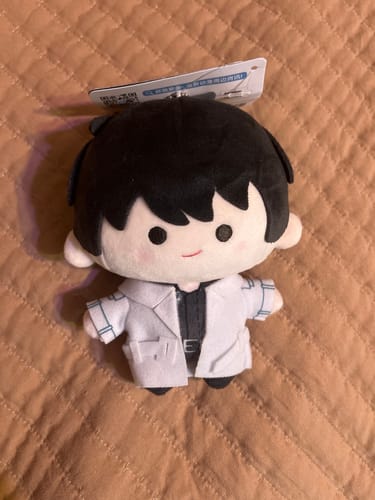 Customer's Omniscient Reader's Viewpoint plush toy, a cute character with black hair and a white coat