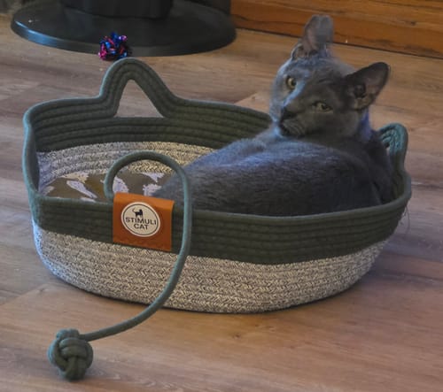 Customer's gray cat resting comfortably in an Instinct Basket, a round rope bed with a Stimuli Cat brand tag.