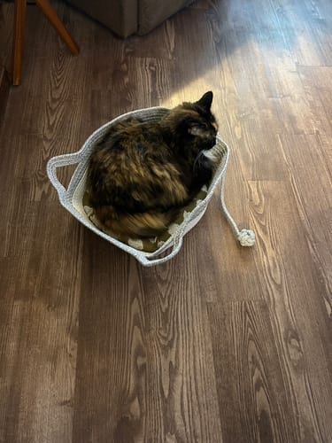 Customer's tortoiseshell cat resting inside the light grey, rope-style Instinct Basket on a wood floor.