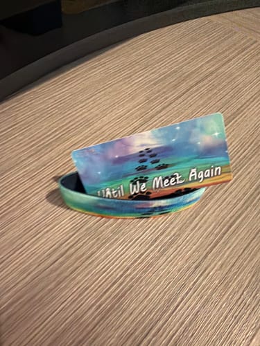 Reviewer's Until We Meet Again bracelet and matching card, displaying a colorful sky and paw print design.