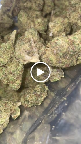 Customer video review of Light Assist THCA Smalls