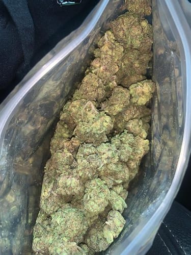 Customer photo review of Gatorade THCA Flower