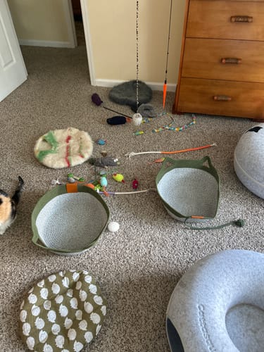 Customer's green Instinct Basket cat beds and pet toys scattered on carpet in a bedroom setting.