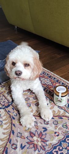 Customer photo review of Peppis Pfotenfreude - Kräuterkraft