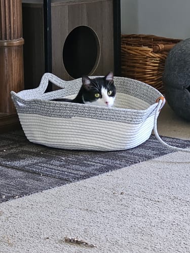 Customer photo review of Instinct Basket | Meet the first research-backed natural territory for indoor cats