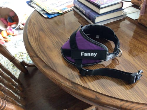 Customer's purple Dogshood Easy On harness with a name tag labeled Fanny, resting on a wooden table.