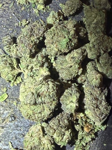 Customer photo review of Gorilla Glue THCA Flower