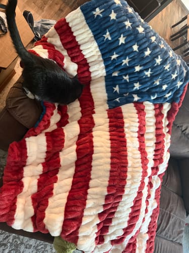 Reviewer's black cat inspecting the soft Hugs Flag Blanket spread across a couch.