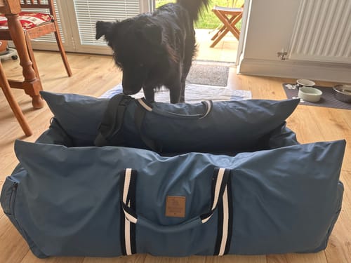 Customer's blue Dog Dock V2 on a wooden floor, with a black dog standing behind it.