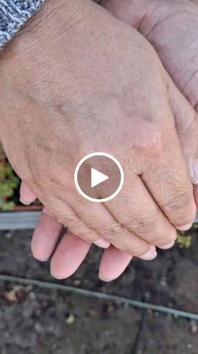 Customer video review of Cernit Number One - Arcilla Polimérica 56 g
