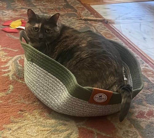 Customer photo review of Instinct Basket | Meet the first research-backed natural territory for indoor cats