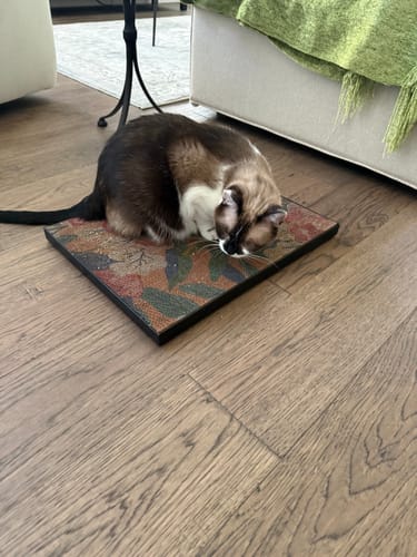 Customer photo review of Peonies - Luxury Cat Scratching Board
