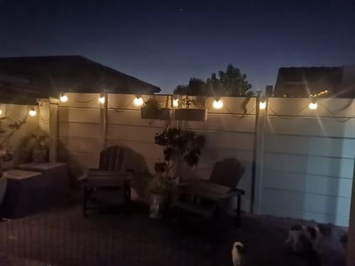 Customer photo review of Solar Festoon Bulb String Lights