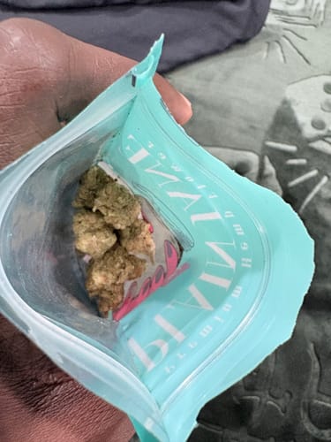 Customer holding open a light blue pouch to show the Lazy OG Greenhouse CBD Flower buds inside.