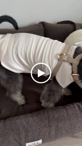 Customer video review of The XL Cosy Car Seat
