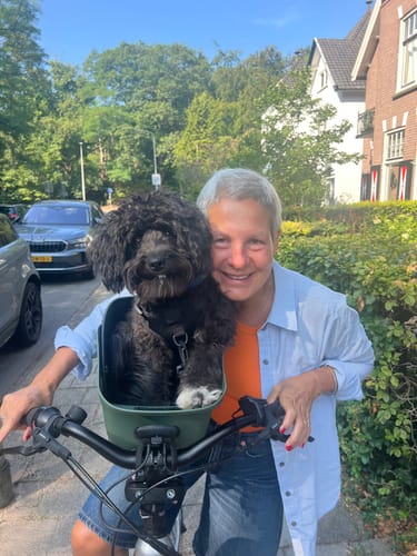 Customer's black dog sitting happily in a green Kvisp Dog Bike Carrier mounted on a bicycle.