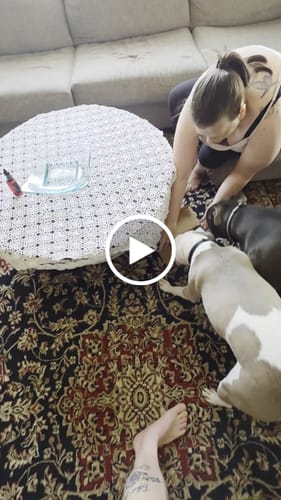 Customer video review of Smoked Beef Marrow Bone