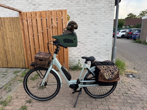 Customer's small dog sitting backwards in a green Kvisp Dog Bike Carrier mounted on a light-colored bicycle outdoors.