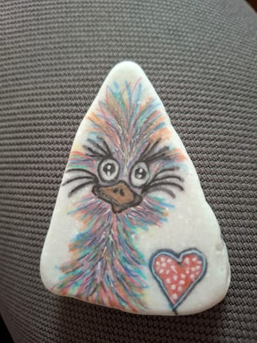 Customer photo review of Beschilder, verstop, volg | Mini Starterpakket + App | Happy Stones Maken in 20 minuten.