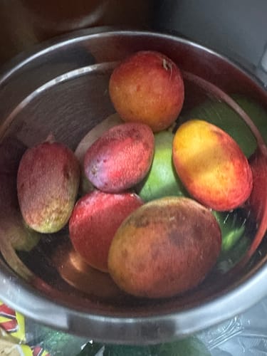 Kundenfoto der Baby-Mango Mix Wild Wonders Früchte in einer Edelstahlschüssel