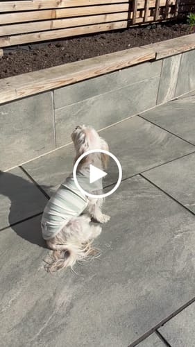 Customer video review of Matcha Stripe | Summer Breeze Cooling Vest