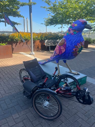 Customer photo review of T-Cycle Custom Arkel Bag Mount