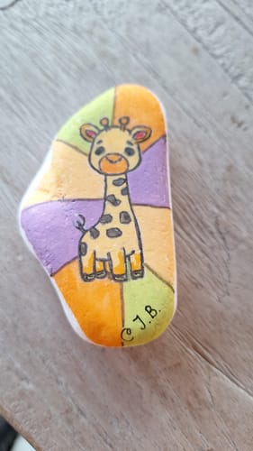 Customer photo review of Starterspakket Happy Stones + App om ze te volgen + Paint-me Startersset