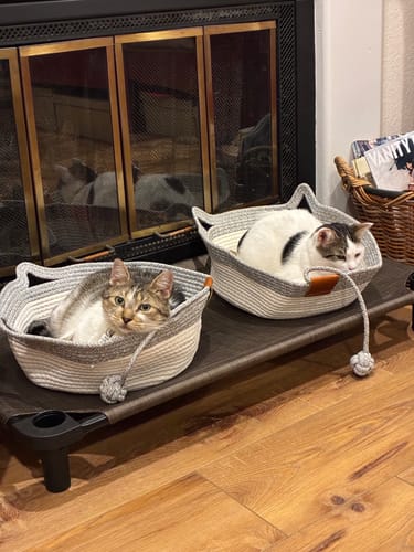 Customer's two Instinct Baskets with cats lounging inside near a fireplace.