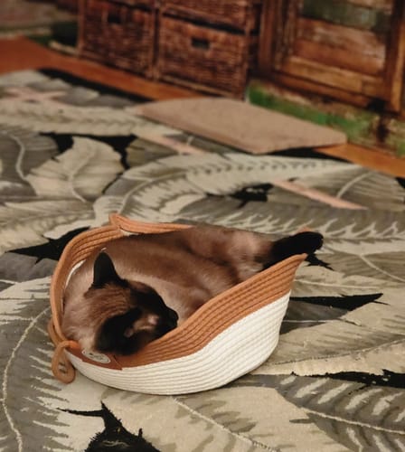 Customer's cat curled up and resting inside an Instinct Basket, a woven two-tone bowl on a patterned rug.