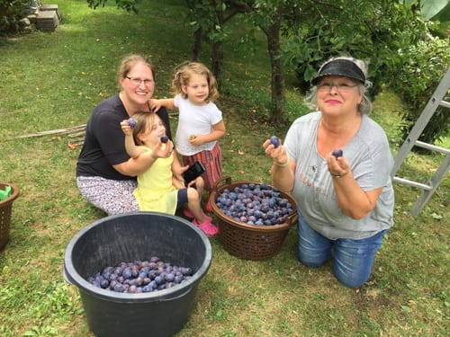 Customer's group posing with dark, round fruits in a garden setting